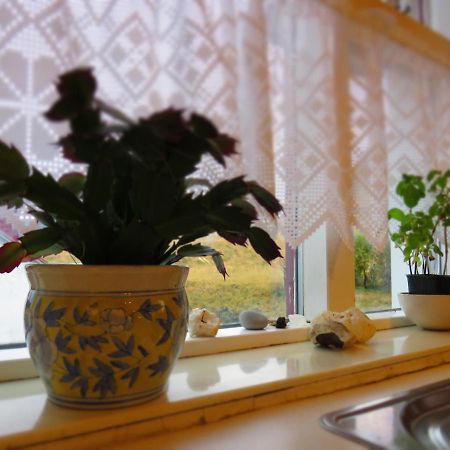 Guesthouse Kalfafellsstadur Kalfafellsstathur Eksteriør bilde