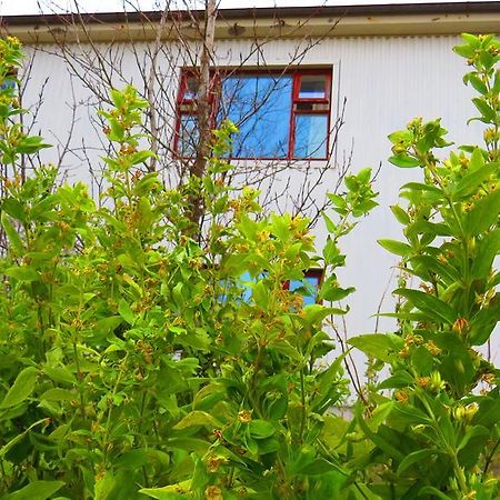 Guesthouse Kalfafellsstadur Kalfafellsstathur Eksteriør bilde