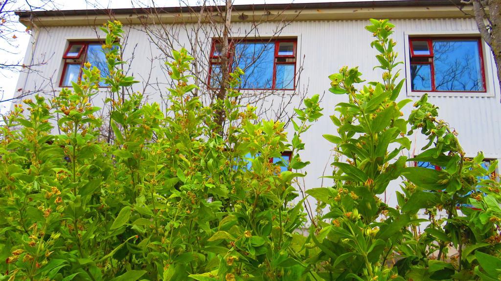 Guesthouse Kalfafellsstadur Kalfafellsstathur Eksteriør bilde